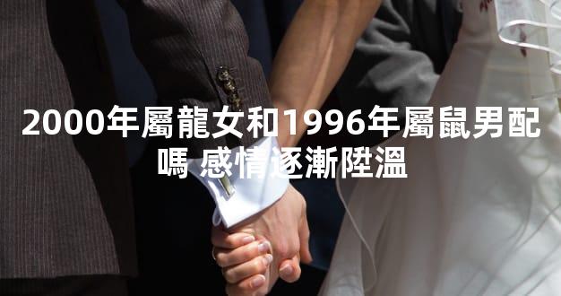 2000年屬龍女和1996年屬鼠男配嗎 感情逐漸陞溫